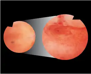 ���󣬸������ĳ���