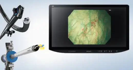 ���׾�-TURBT