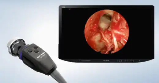 �ڿ����������