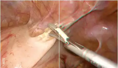 ����ͼ��