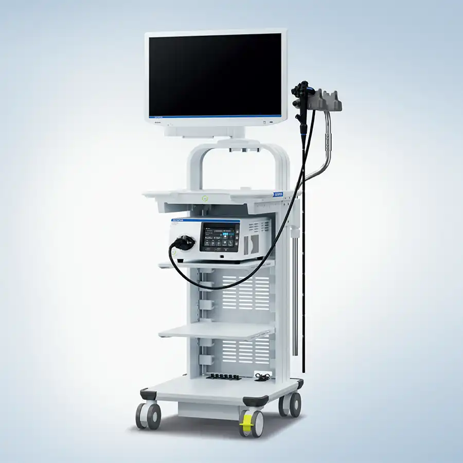 WM-NP3